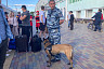 В Саратов приехали 350 переселенцев из Донбасса