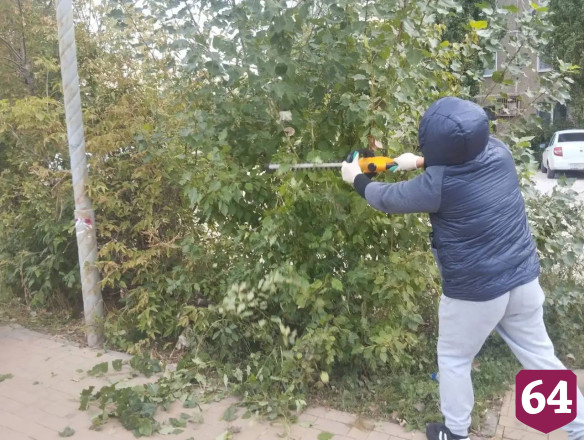 В Саратове на субботник вышли 7 тысяч человек