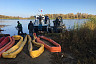 Волгу расчистили от водорослей и выпустили 21 тысячу мальков 
