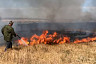 В Саратовской области сгорело два гектара  леса  