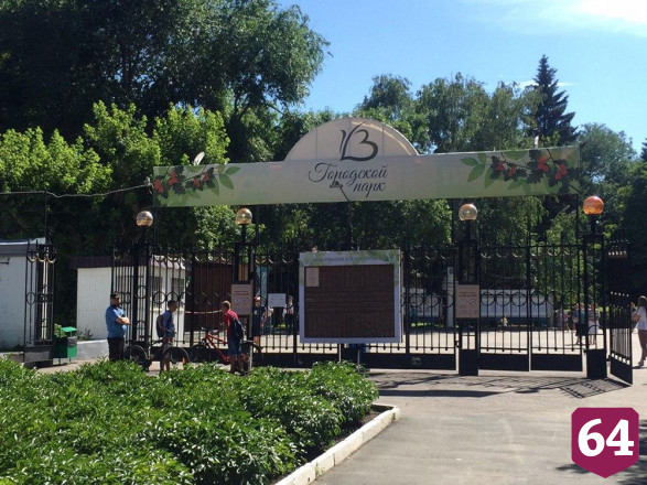 Саратовцы в горпарке выстроились в очередь покормить лебедей