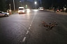 В больнице умер сбитый микроавтобусом велосипедист