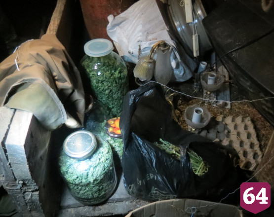 Супружеская пара попалась на хранении крупной партии марихуаны