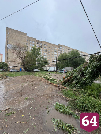 В Энгельсе рухнувший тополь оборвал провода