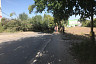 В Саратове дерево рухнуло на иномарку с водителем и пассажиром