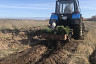 Под Саратовом высадили 200 гектаров леса 