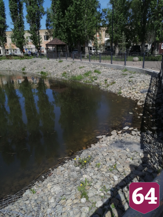 Жители Саратова пожаловались на превращение пруда в грязную лужу