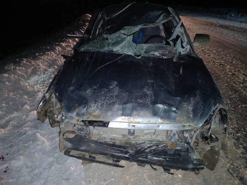 Под Саратовом «Приора» задавила двух лошадей