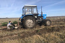 Под Саратовом высадили 200 гектаров леса 