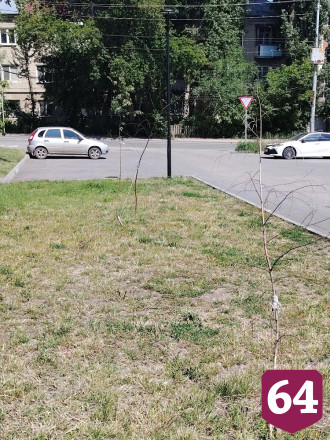 В Саратове проверят подрядчика сквера из-за некачественного ремонта