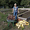 Саратовские женщины засушат сезонные овощи для бойцов СВО