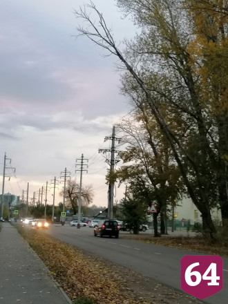 В Энгельсе деревья ветром повалило на провода