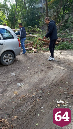Огромный ствол дерева рухнул на дорогу рядом с машинами