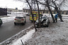 В Саратове пенсионер на «Весте» протаранил дерево