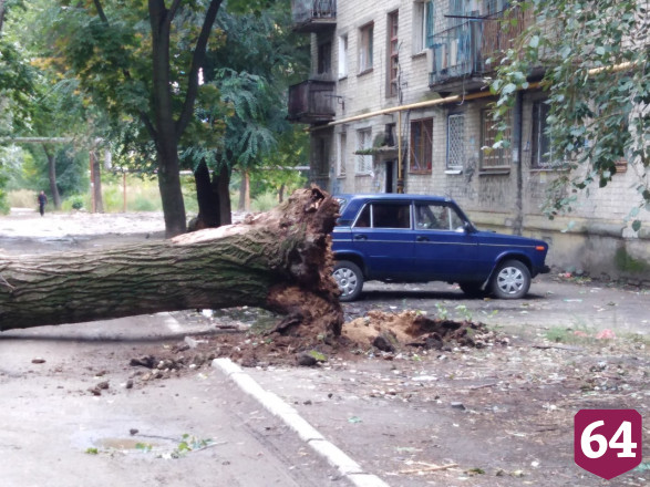 Огромный ствол дерева рухнул на дорогу рядом с машинами