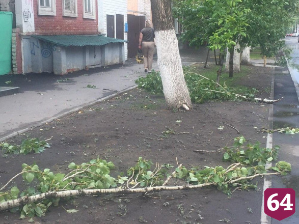 В центре Саратова сильный ветер срывал с деревьев крупные ветки