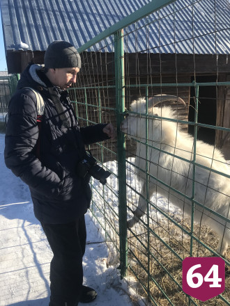 В саратовском парке медведь спит зимой под одеялами