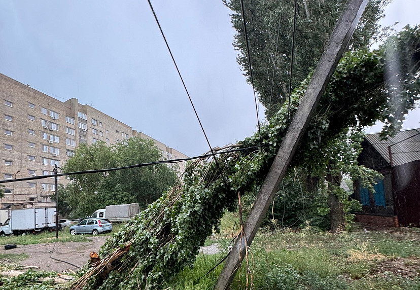В Энгельсе рухнувший тополь оборвал провода