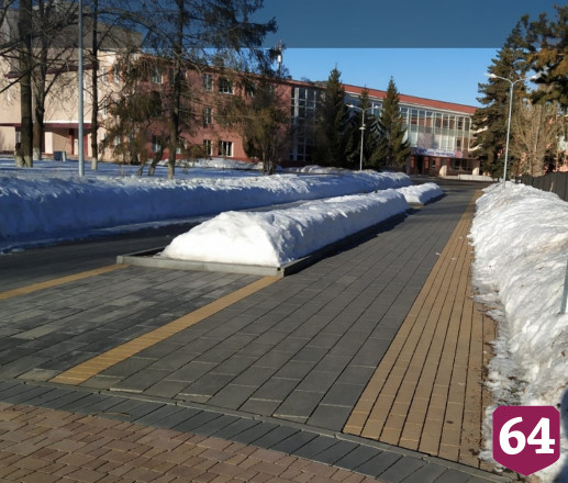 Инвалид похвалил рабочих за идеальную уборку саратовского парка