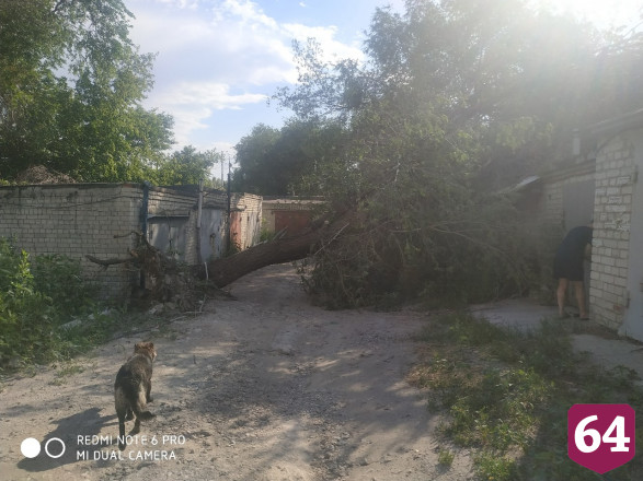 Ураган в Саратове валил деревья и срывал крыши домов