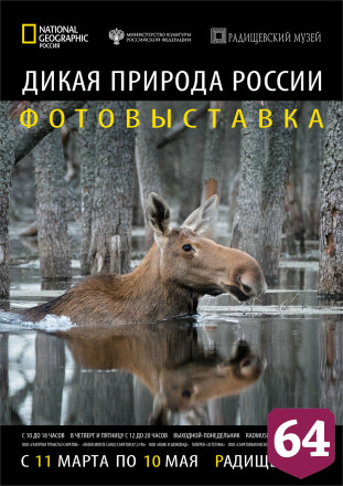 «National Geographic Россия» подарил Саратову уникальную экспозицию
