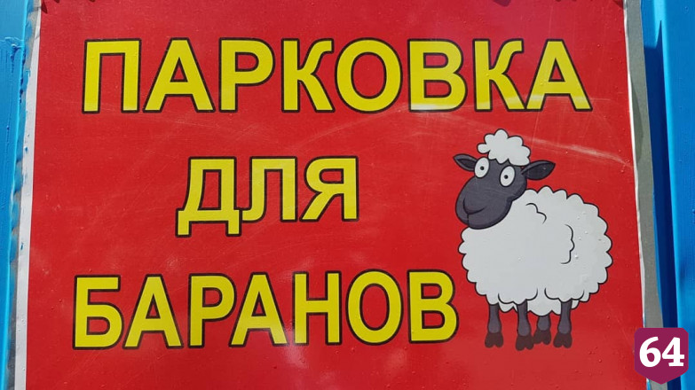 В Саратове заметили парковку для баранов