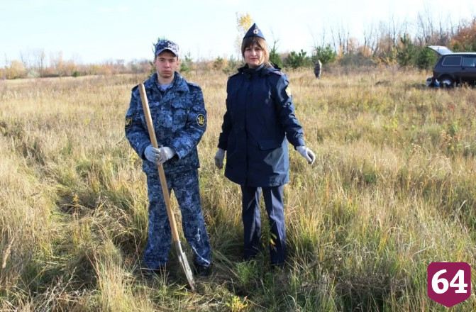 Сотрудники саратовской колонии внесли вклад в восстановление лесов
