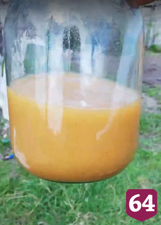 Под Саратовом из водопровода течет «яблочный сок»