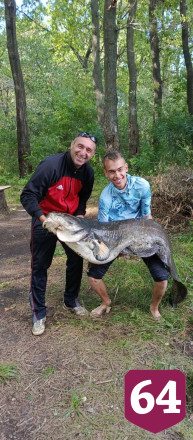Саратовские рыбаки после фото отпустили 2-метрового сома в Волгу