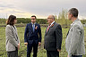 В Саратове создадут собственный питомник растений для озеленения города 