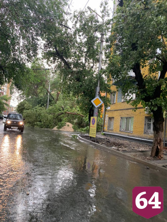 Шквалистый ветер повалил деревья в центре Саратова