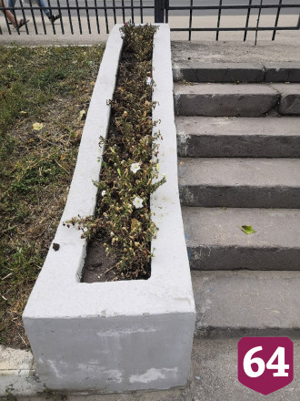 Жителей Саратова возмутила разруха в сквере Дружбы народов 