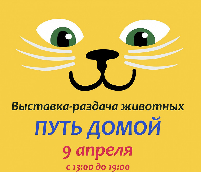 Посетителям торгового центра предложат погладить кошек