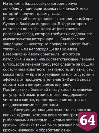 Саратовские ветеринары спасли попавшую на рыболовный крючок кошку Дусю