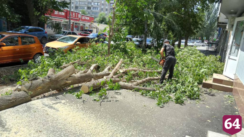 В Саратове в грозу повалило 32 дерева 
