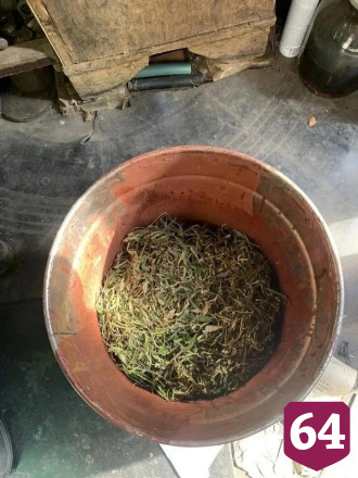 Полицейские нашли у саратовца четыре ведра марихуаны