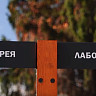 В Саратове завершили реконструкцию второго участка Ботанического сада 