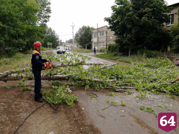 В Саратовской области ураган повалил 132 дерева