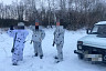 Саратовцы выплатят по 120 тысяч за незаконную охоту на сибирскую косулю