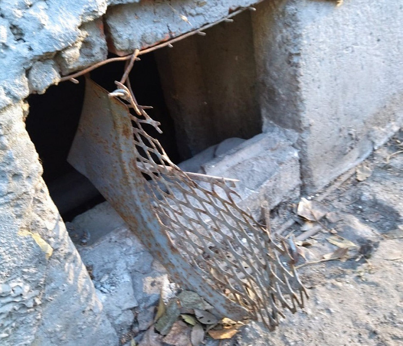 Саратовцы боятся выходить во двор из-за живущих в подвале агрессивных собак 
