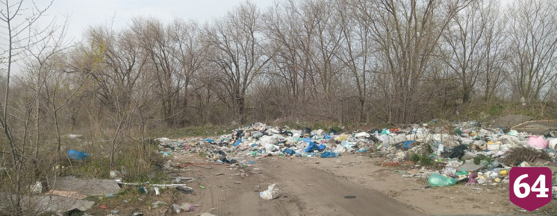 Саратовцы устроили незаконную свалку у дороги 