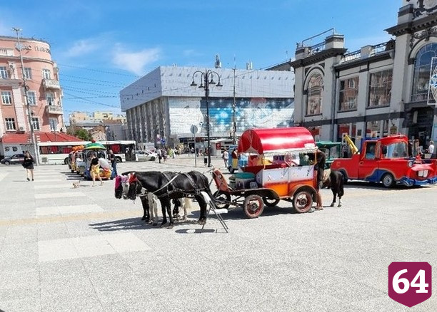 Саратовцы пожалели катающих детей в жару пони 