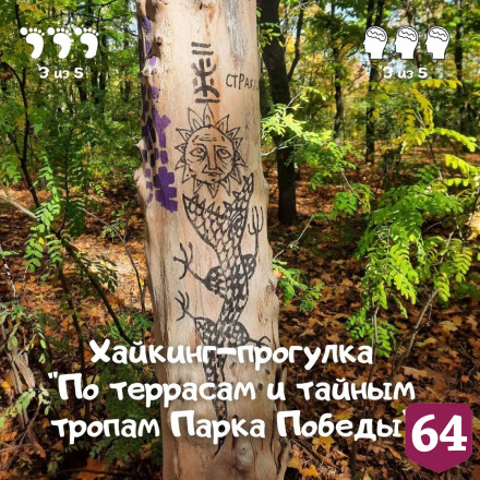 Саратовцев на прогулке накормят ягодами от тревоги 