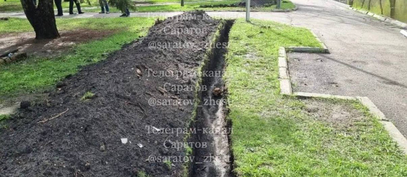В горпарке Саратова раскопали человеческий череп