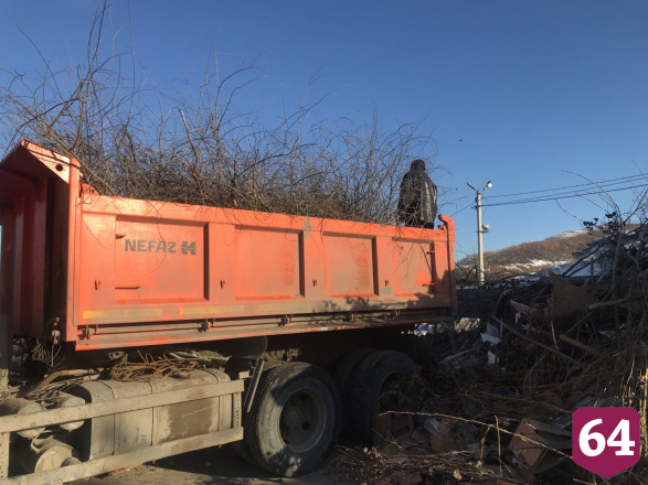 Под Саратовом переработали 2 тысячи тонн новогодних елок