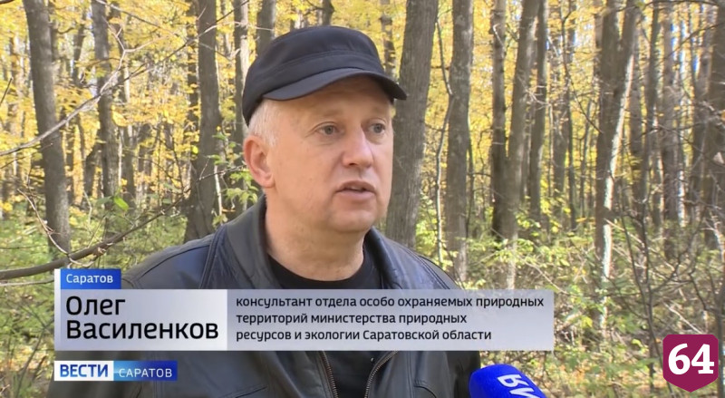 Кумысную поляну обработают от грызунов из-за рисков мышиной лихорадки 