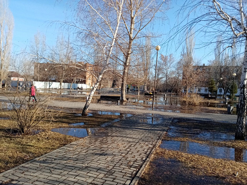Саратовские синоптики пообещали 17 градусов тепла