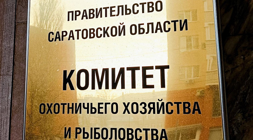 В Саратовской области для увеличения популяции животных ограничат охоту 