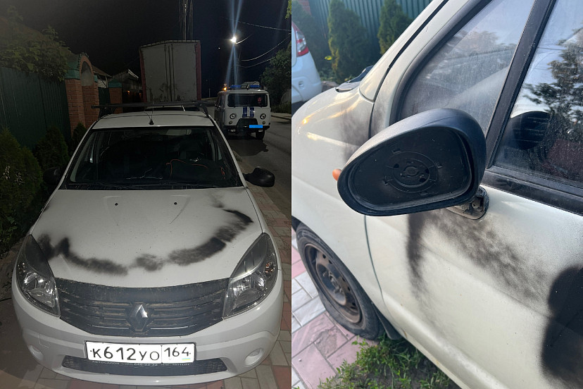 Жителям Саратова из-за щенка изуродовали автомобили и затопили дом