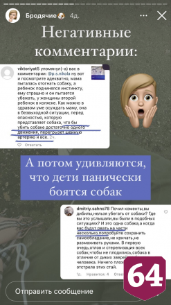 Саратовский кинолог озвучила правила поведения с бродячими собаками